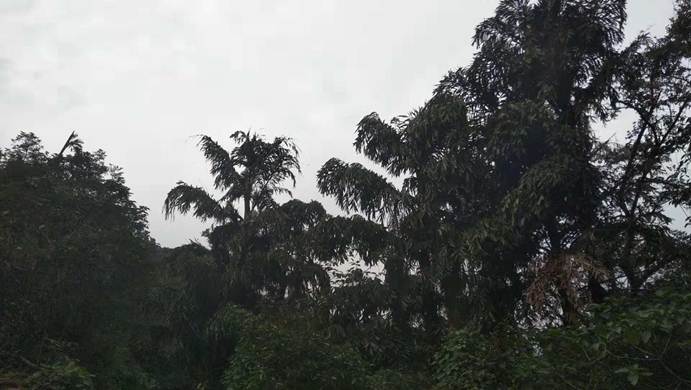 说明: C:\Users\asus\AppData\Local\Temp\WeChat Files\622156621207846784.jpg