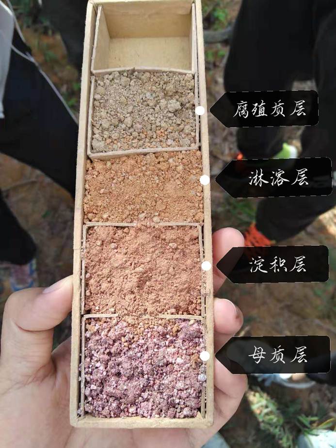 说明: C:\Users\asus\AppData\Local\Temp\WeChat Files\437525847191221807.jpg